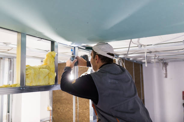 Best Insulation Maintenance and Repair in Lavaca, AR