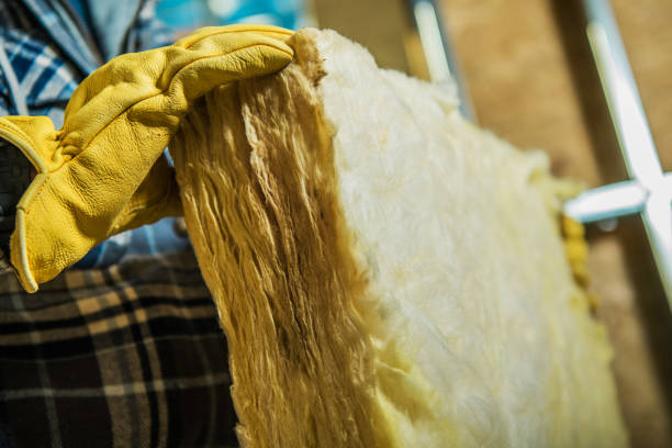 Best Insulation Installation Services in Lavaca, AR